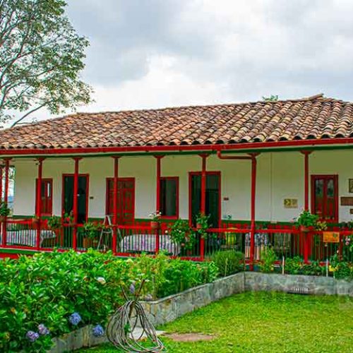 finca 5